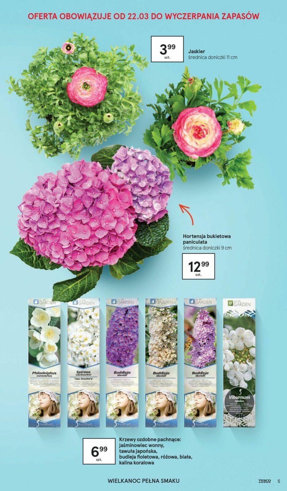 Gazetka promocyjna Tesco str. 5