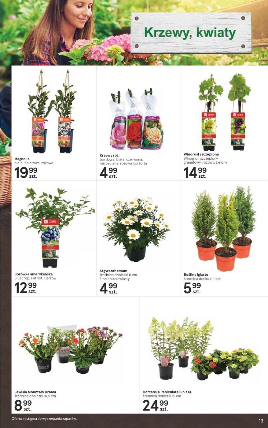 Gazetka promocyjna Tesco str. 13