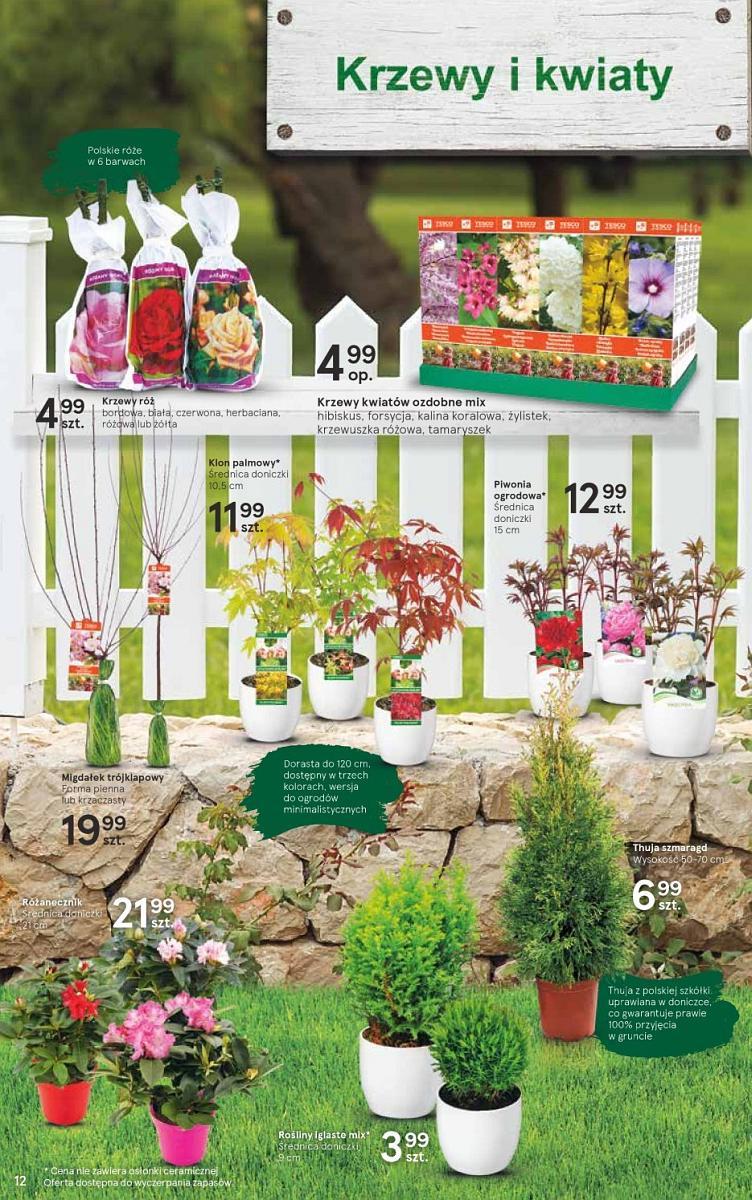 Gazetka promocyjna Tesco str. 12