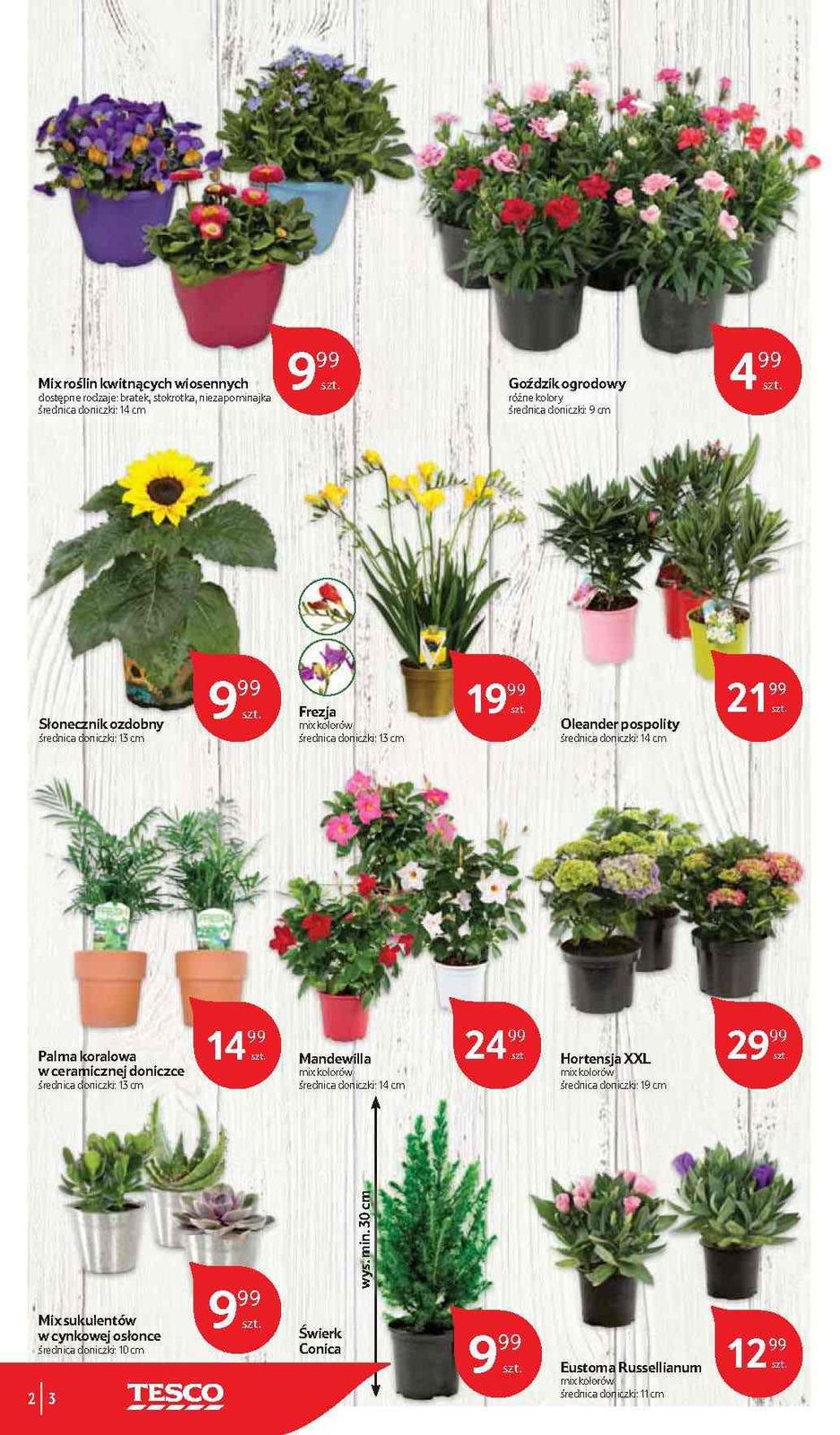 Gazetka promocyjna Tesco str. 2