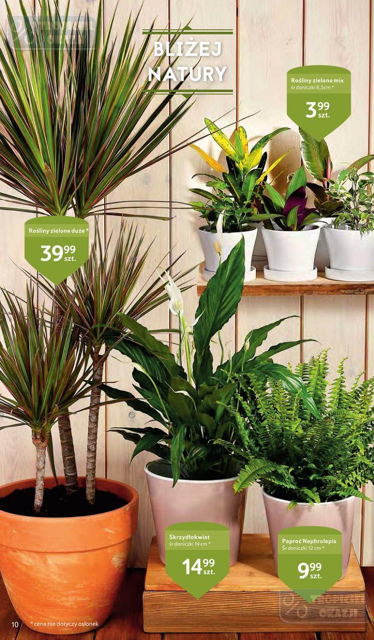 Gazetka promocyjna Tesco str. 10