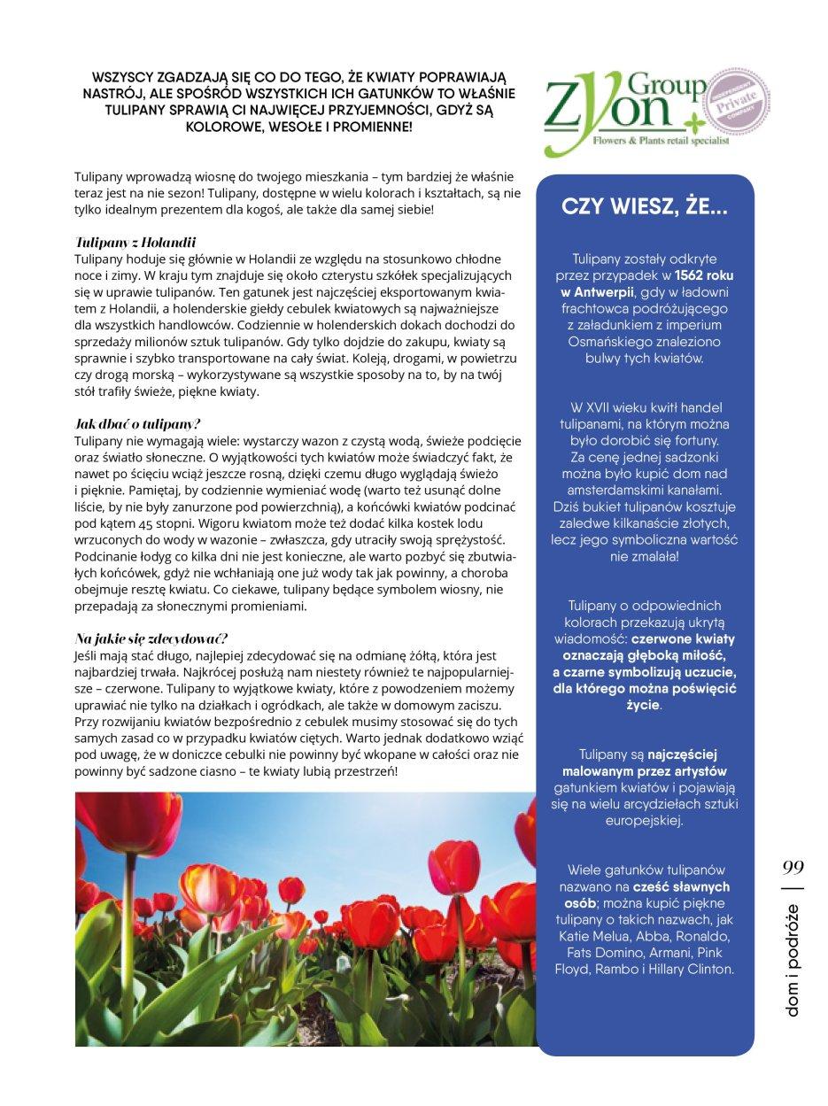 Gazetka promocyjna Tesco str. 99