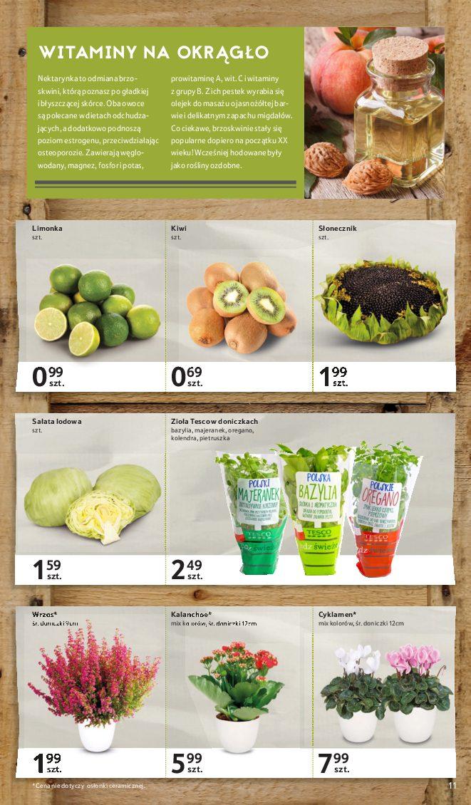 Gazetka promocyjna Tesco str. 11