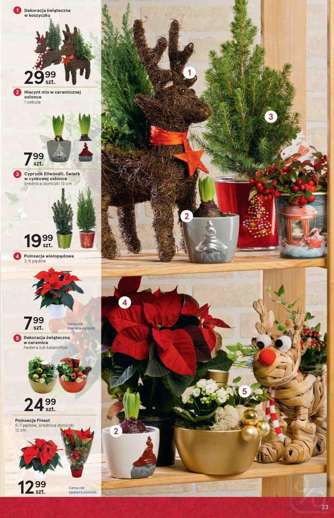 Gazetka promocyjna Tesco str. 23