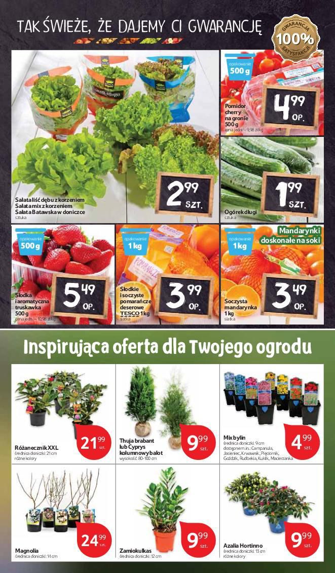 Gazetka promocyjna Tesco str. 11