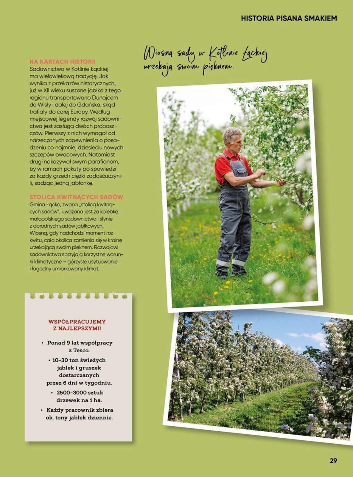 Gazetka promocyjna Tesco str. 29