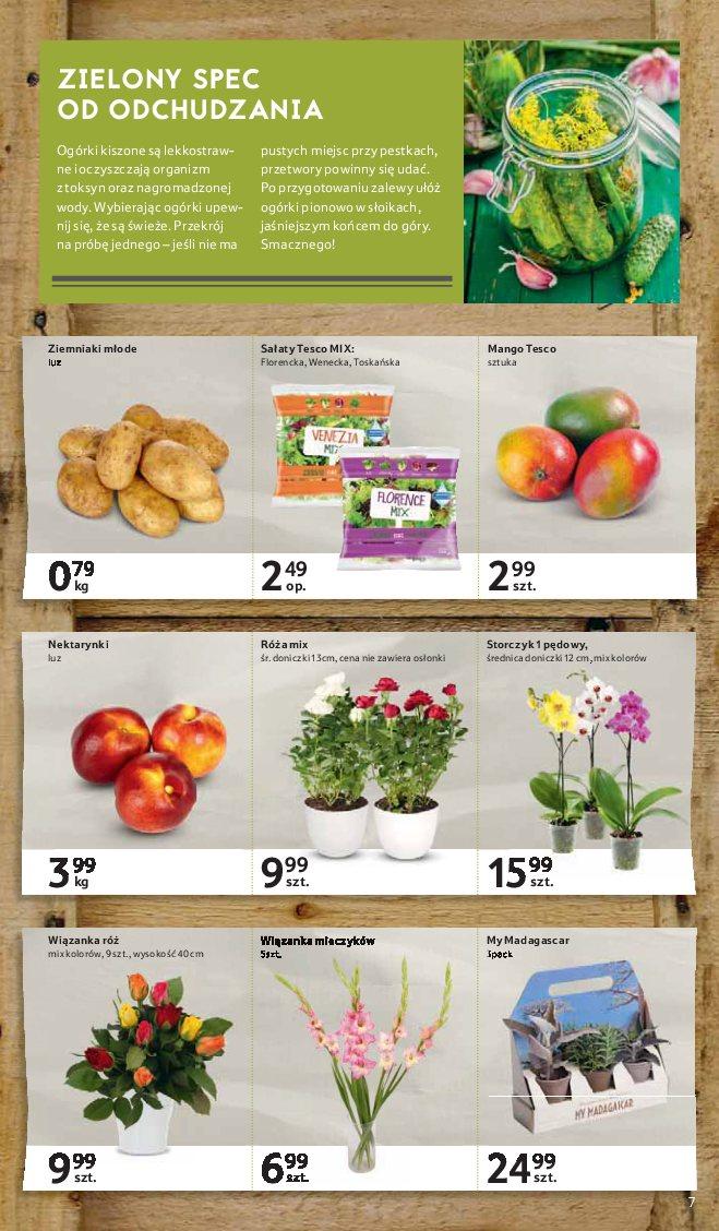 Gazetka promocyjna Tesco str. 7