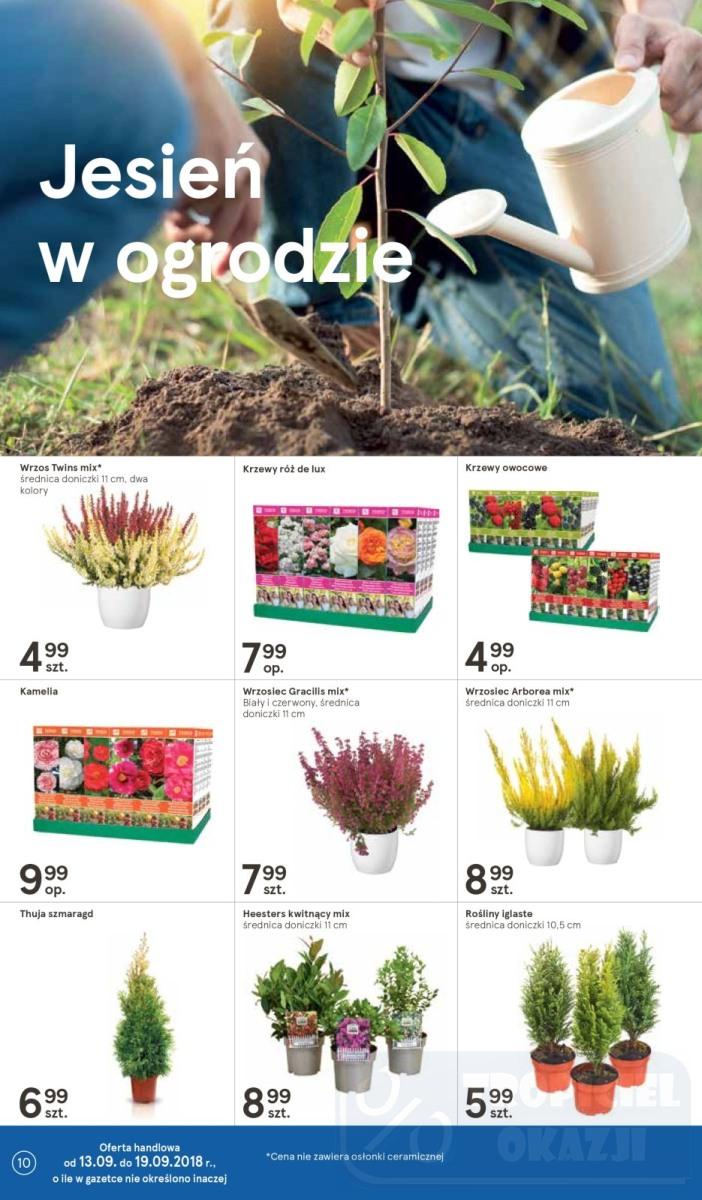 Gazetka promocyjna Tesco str. 10