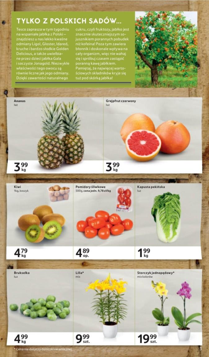 Gazetka promocyjna Tesco str. 3