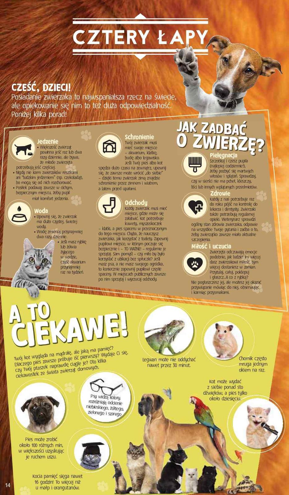 Gazetka promocyjna Tesco str. 14