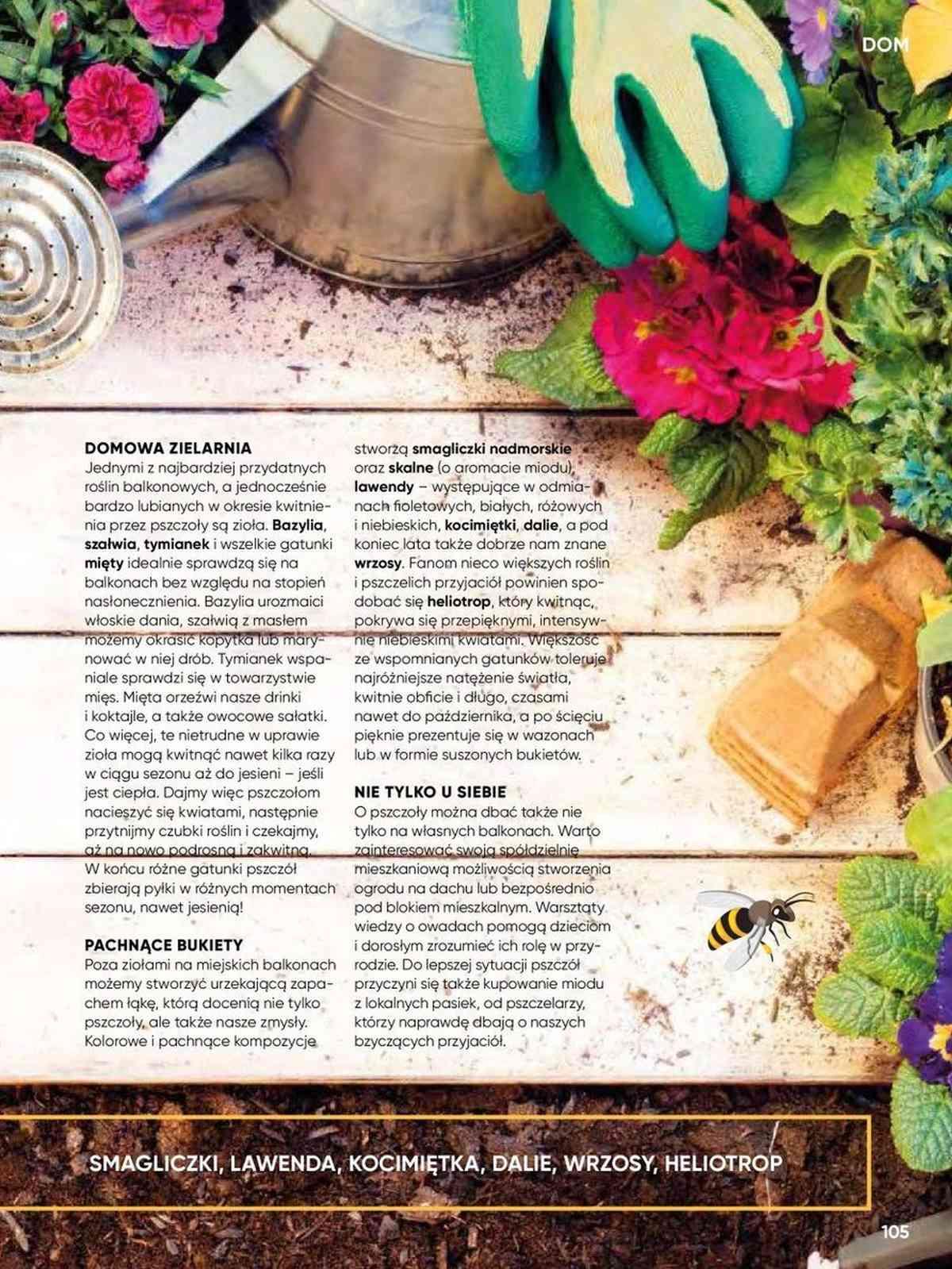 Gazetka promocyjna Tesco str. 105