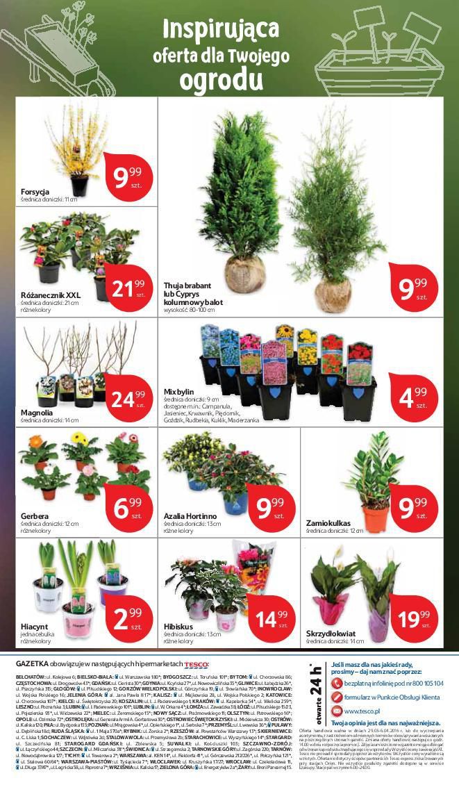 Gazetka promocyjna Tesco str. 37