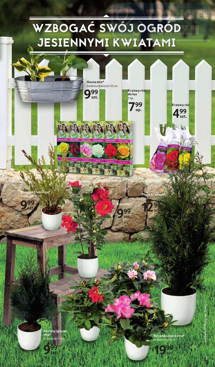 Gazetka promocyjna Tesco str. 5