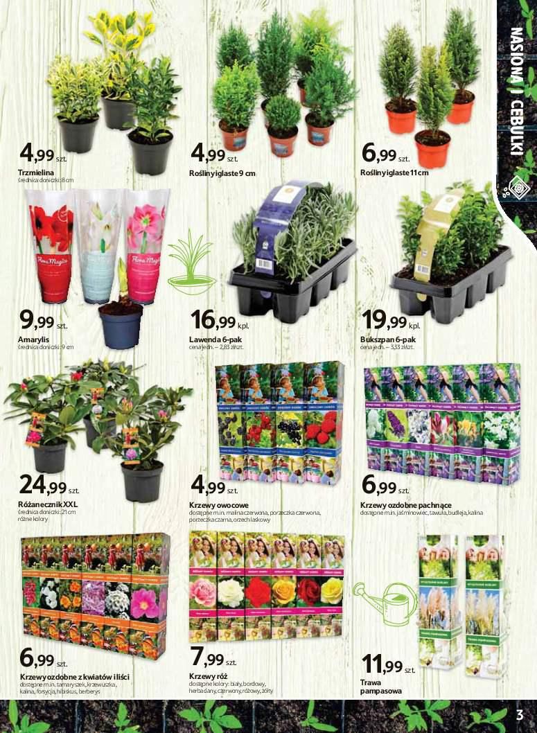 Gazetka promocyjna Tesco str. 3