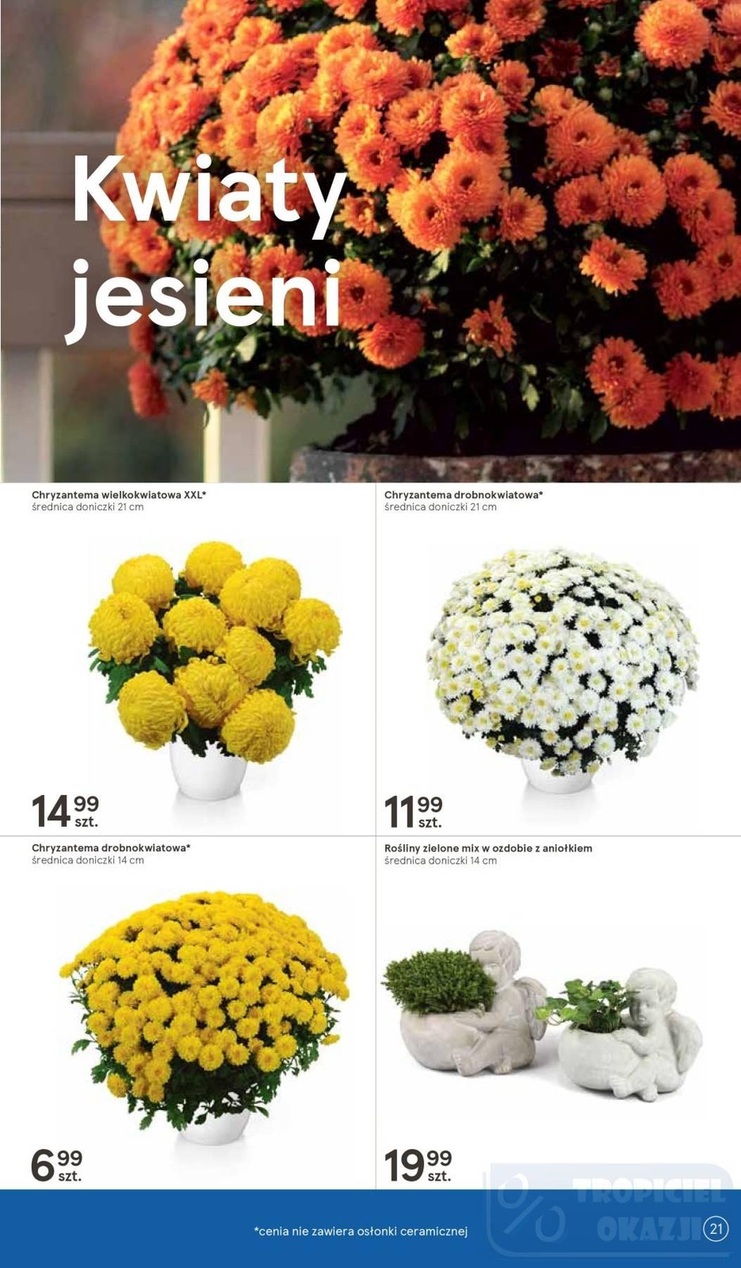 Gazetka promocyjna Tesco str. 21