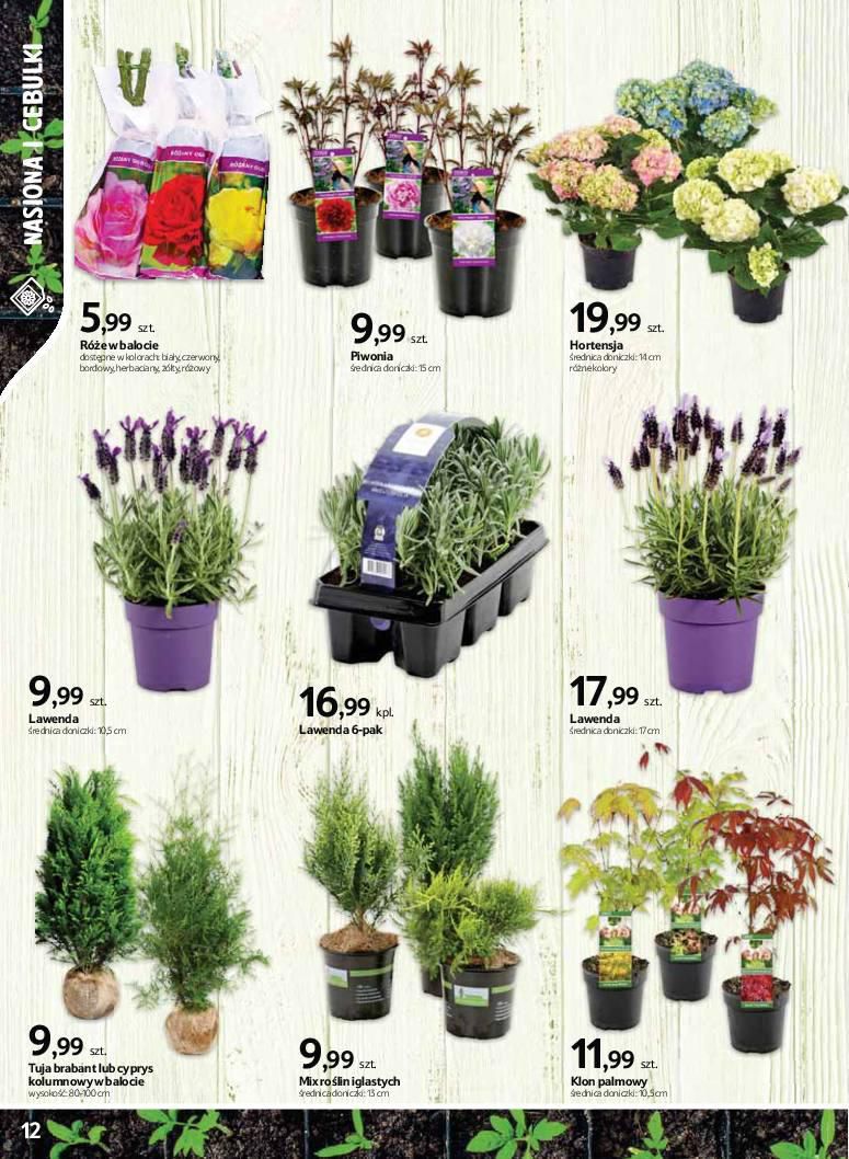 Gazetka promocyjna Tesco str. 12