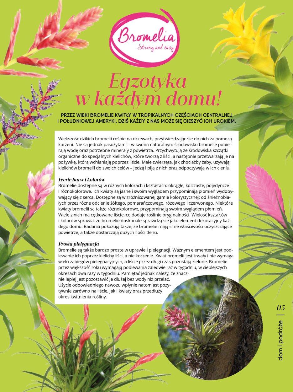 Gazetka promocyjna Tesco str. 115