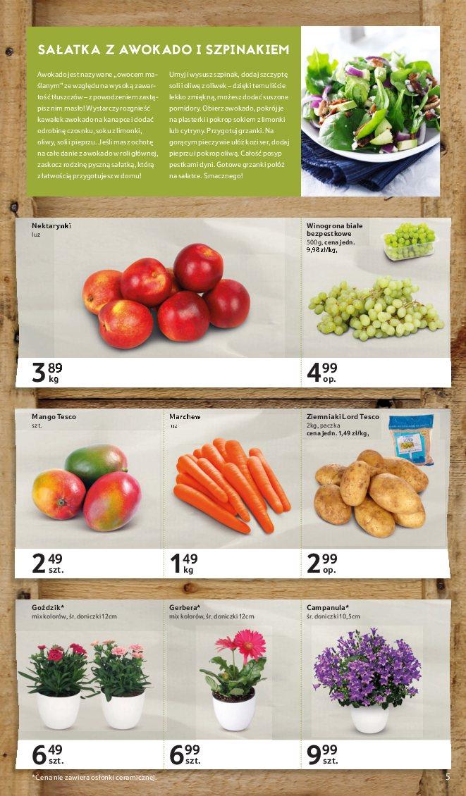 Gazetka promocyjna Tesco str. 5