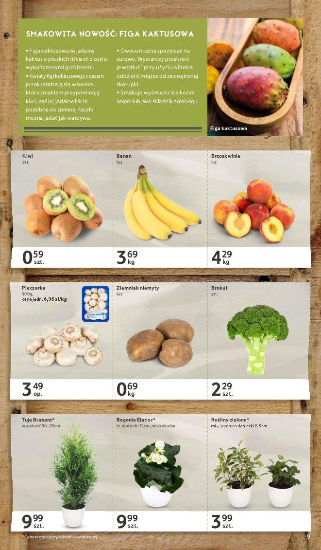 Gazetka promocyjna Tesco str. 9