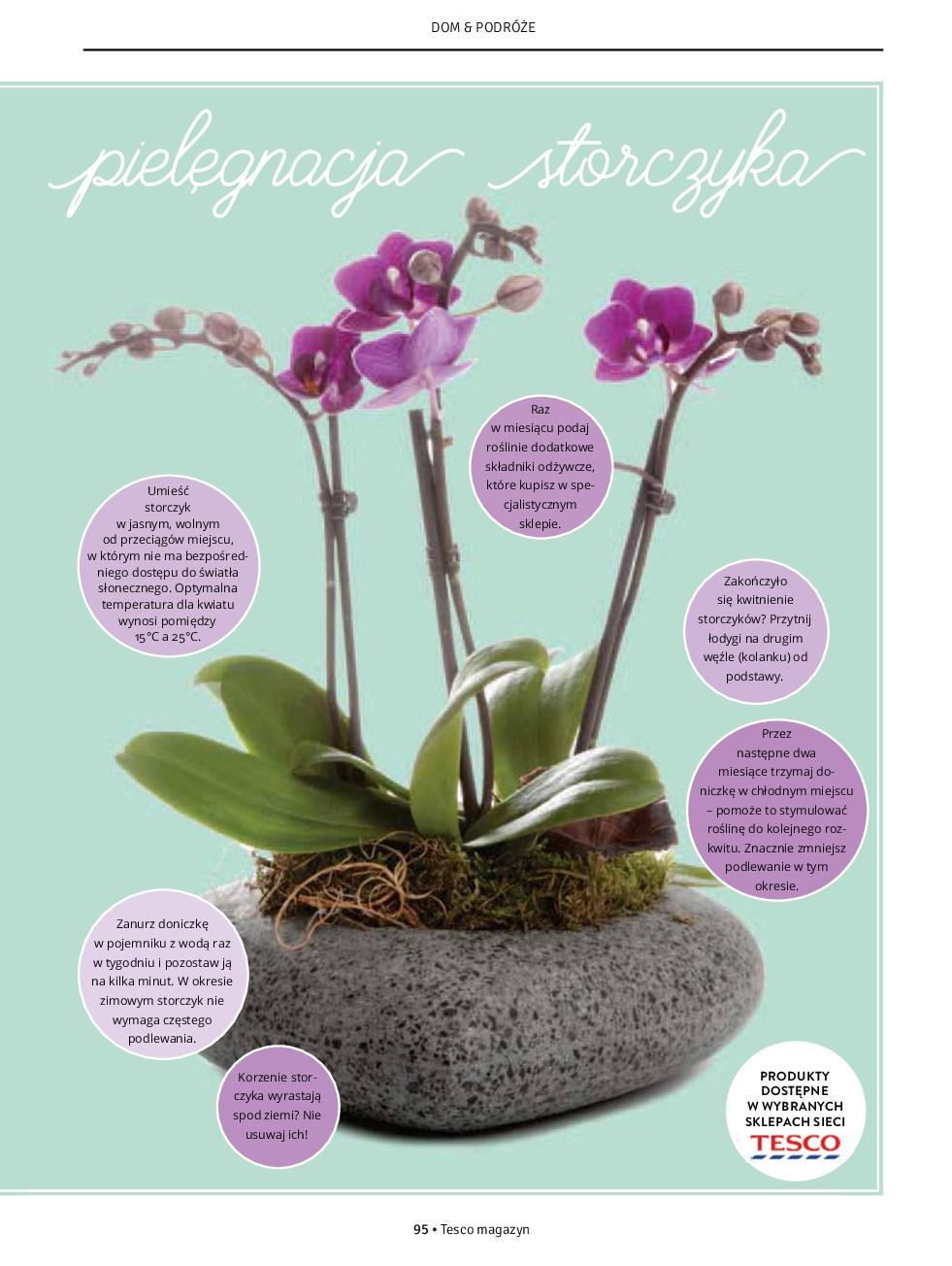 Gazetka promocyjna Tesco str. 95