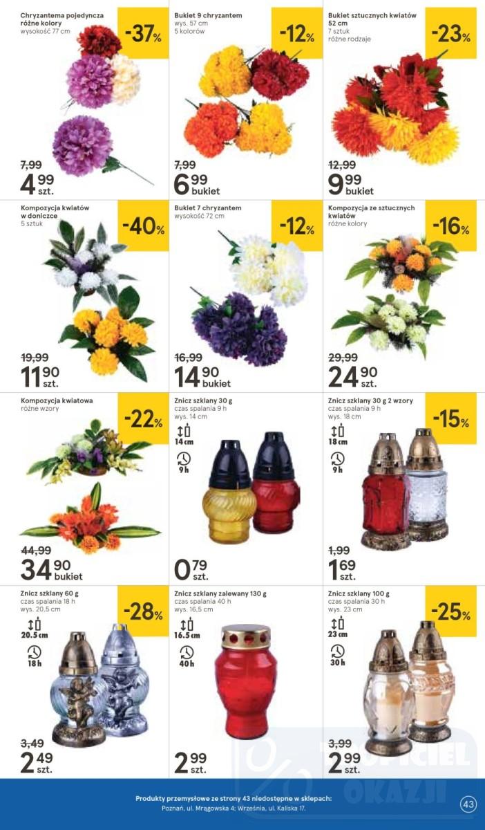 Gazetka promocyjna Tesco str. 43