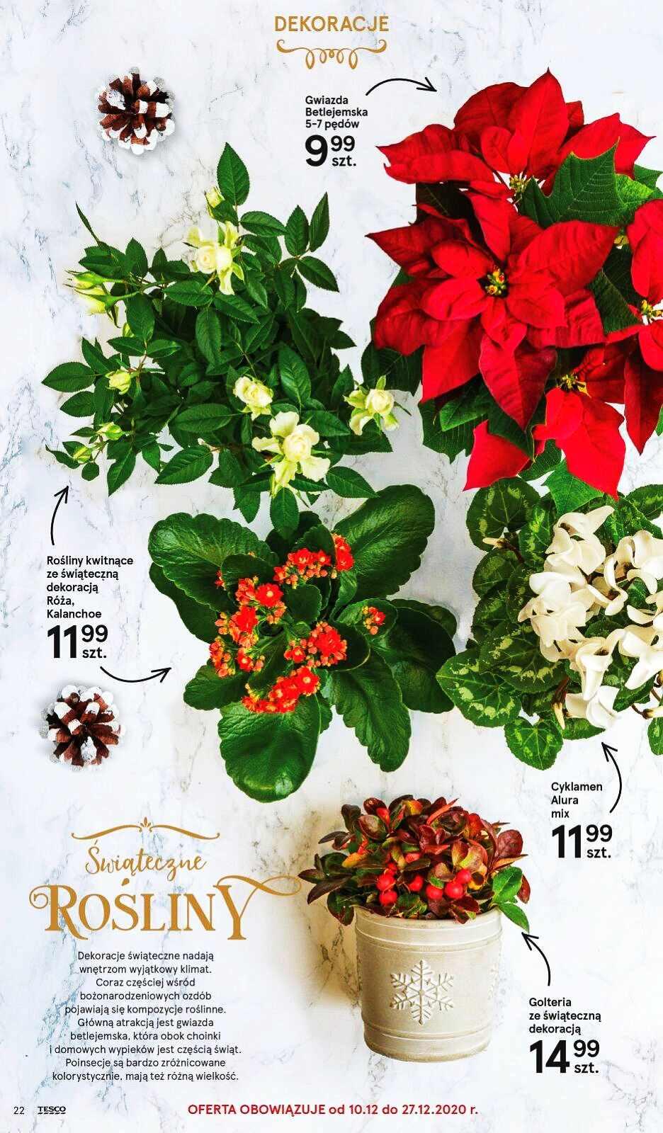 Gazetka promocyjna Tesco str. 22