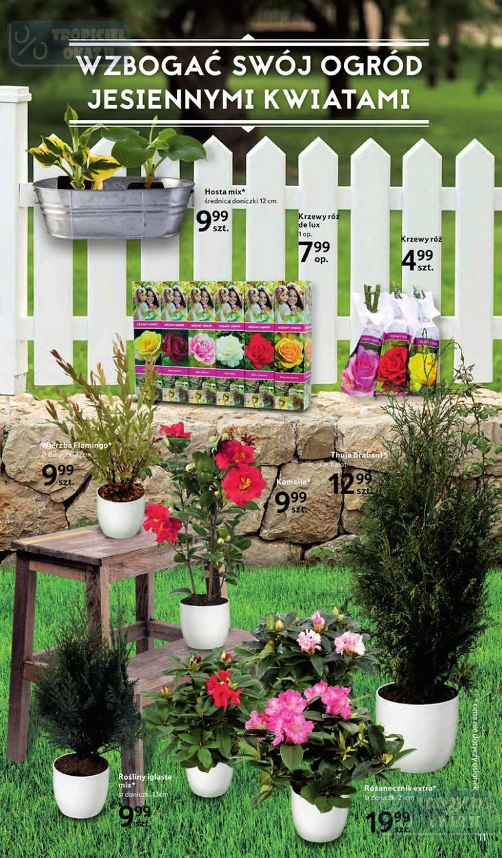 Gazetka promocyjna Tesco str. 11