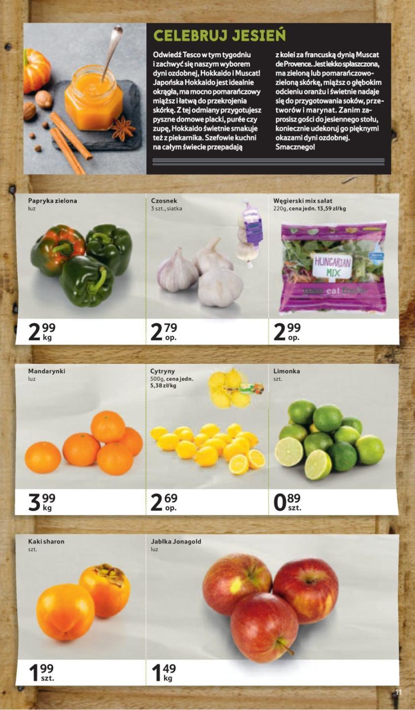 Gazetka promocyjna Tesco str. 11