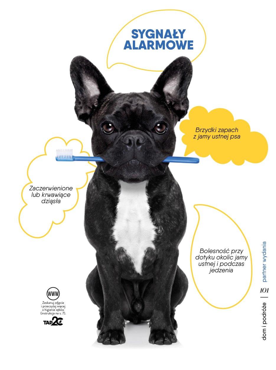 Gazetka promocyjna Tesco str. 101