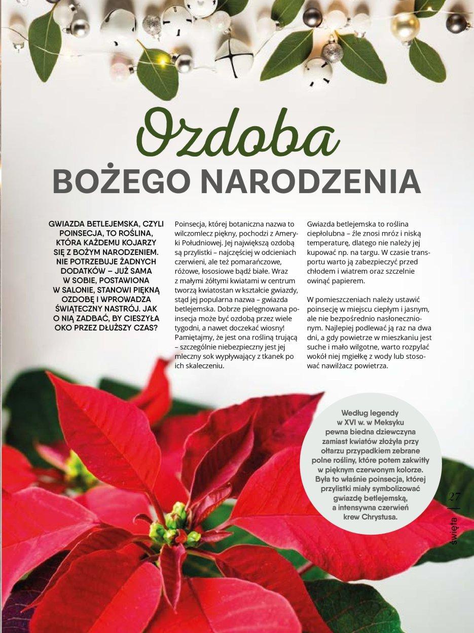 Gazetka promocyjna Tesco str. 27