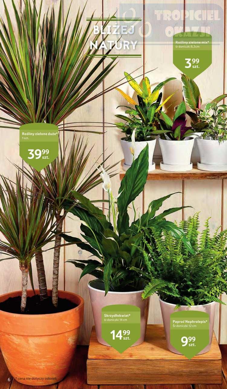 Gazetka promocyjna Tesco str. 6