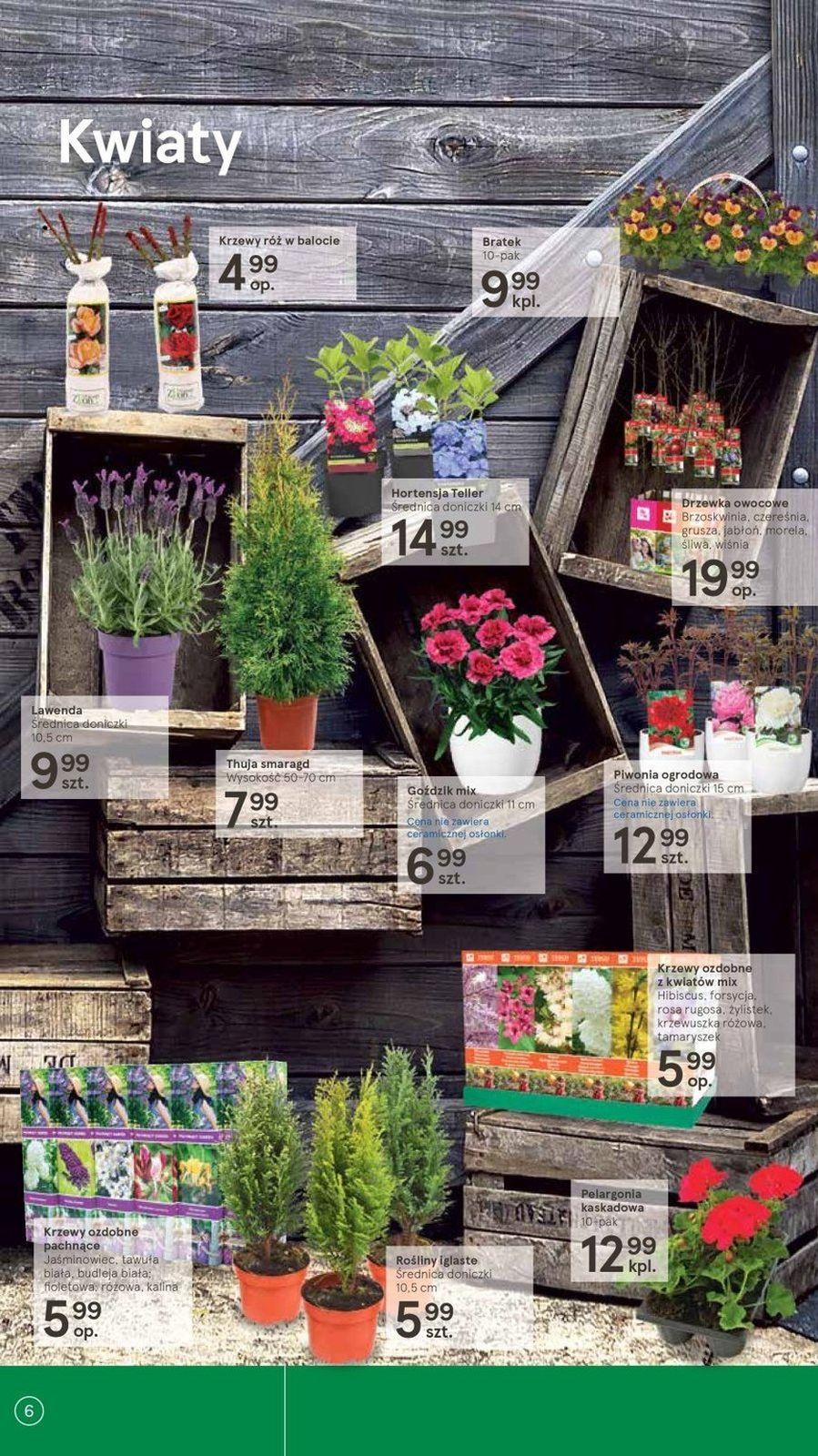 Gazetka promocyjna Tesco str. 6