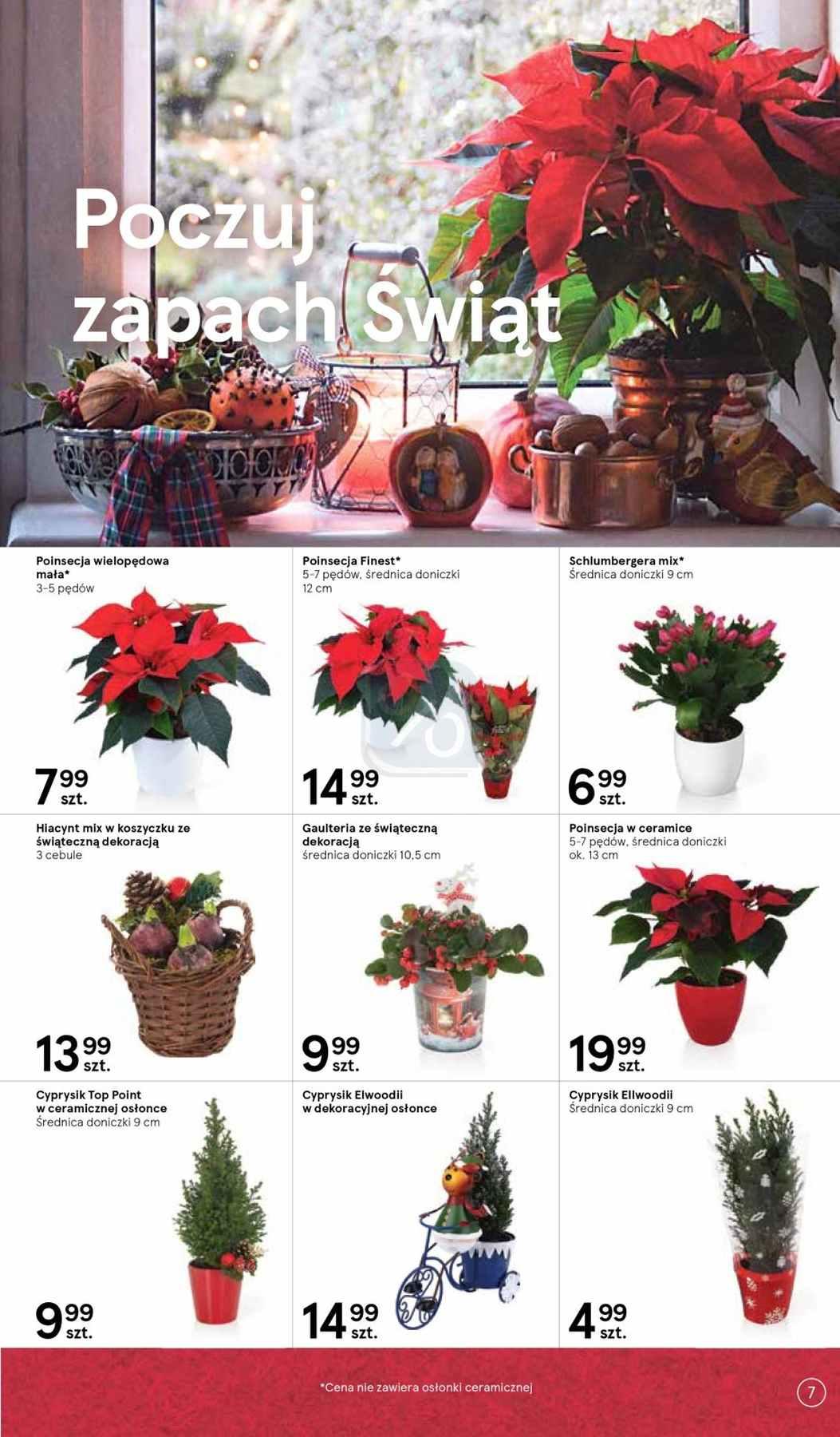 Gazetka promocyjna Tesco str. 7