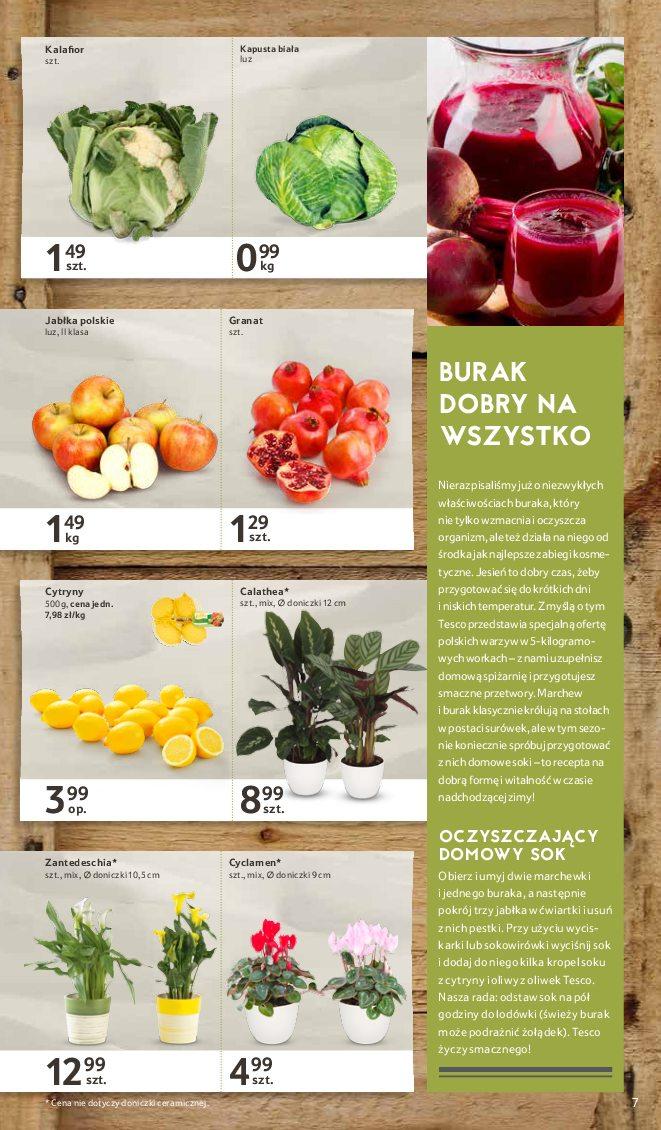 Gazetka promocyjna Tesco str. 7