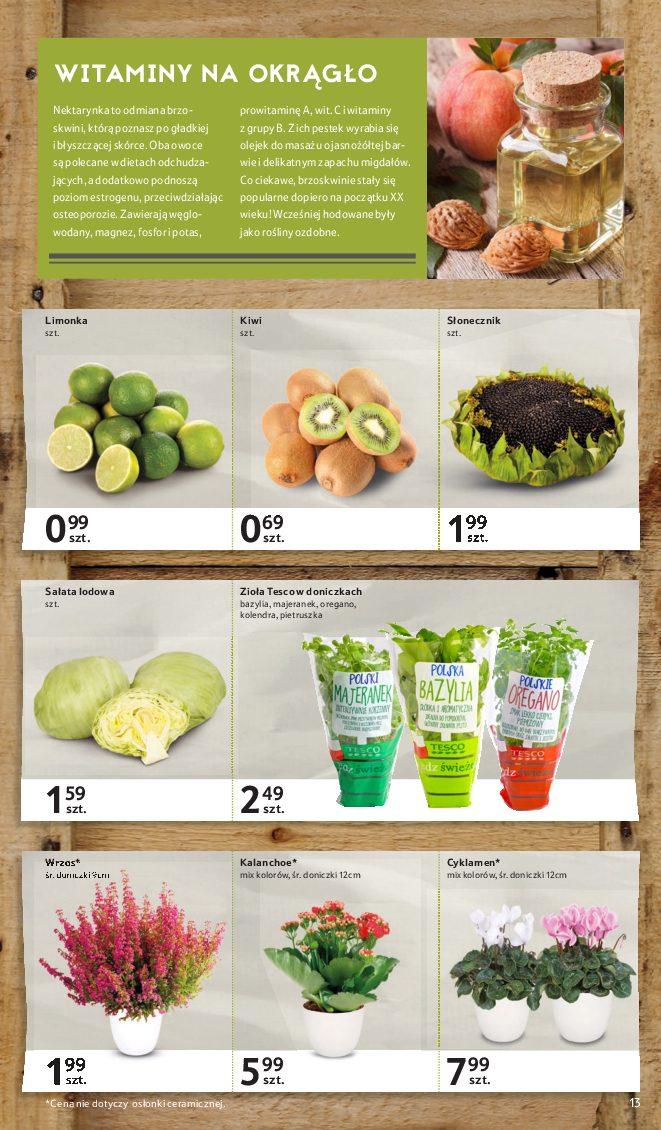 Gazetka promocyjna Tesco str. 13