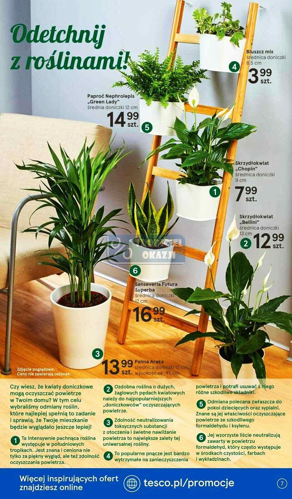 Gazetka promocyjna Tesco str. 7